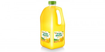 Fruit Nectar 2L with mango flavor from RITA UK